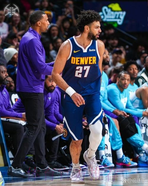 穆雷33+5 掘金战胜独行侠